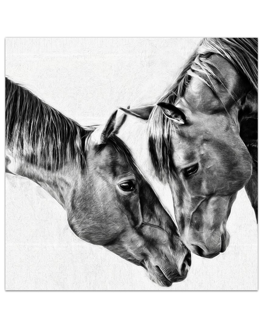Empire Art Direct Kindred Colts Frameless Free Floating Tempered Glass Panel Graphic Wall Art In Gray